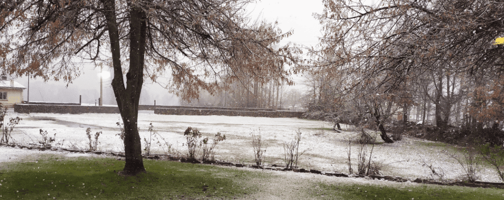el casar del puente blog nieve