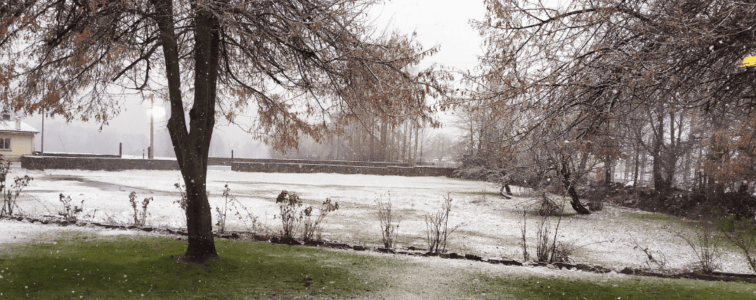 el casar del puente blog nieve